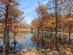 -贡湖湾湿地公园