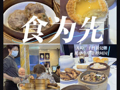 -食为先(Shark Fin)