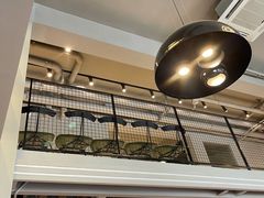 大堂-迪欧咖啡·中西餐融合菜(平江万达旗舰店)