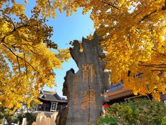 -圆通寺