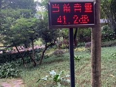 -晓港公园