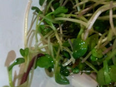 android_upload_pic-百饺园酒楼(平山道店)