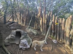 -杭州长乔极地海洋公园