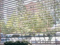 -朝郡酒家·粤菜(燕大星苑店)
