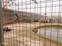 -河北村民俗体验园