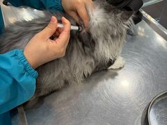 -万博宠物医院·手术·诊疗(未央凤城五路店)