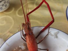 -西江河鲜·趣苑酒楼(鼎湖店)