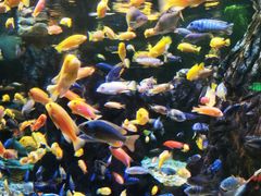 -太平洋海底世界