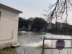 -江门古劳水乡旅游区