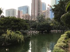 -九龙公园
