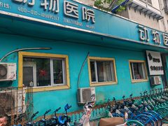 -瑞派宠物医院·内科·软组织·绝育中心(沈阳八纬路分院)