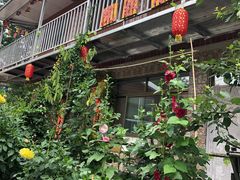 -北京白桦林彭兴全农家院