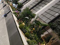-郑州新郑国际机场-T2航站楼