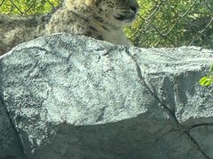 -青藏高原野生动物园