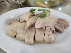 白切鸡-文海饭店(朝阳路店)