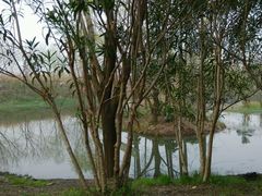 android_upload_pic-新江湾城公园