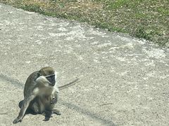 -杭州野生动物世界