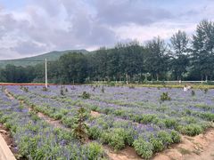 -百里山水画廊
