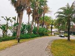 -蓝楹湾度假酒店