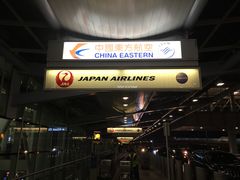 -约翰·菲茨杰拉德·肯尼迪国际机场