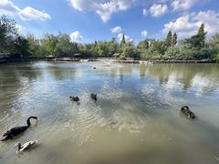 -溱湖国家湿地公园