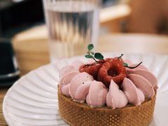 -猫里有甜