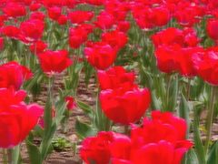 -玄武湖景区-情侣园游乐场