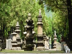 -四门塔风景区