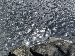 -东钱湖小普陀景区