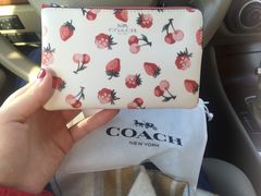 -COACH蔻驰(赛特奥特莱斯店)