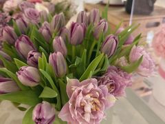 -Gigi Florist·Dk Coffee