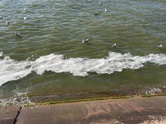 -呈贡滇池生态湿地公园