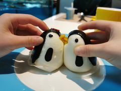 -帝企鹅自助餐厅•儿童岛•真企鹅(长隆企鹅酒店)