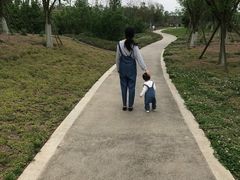 -白鹭湾湿地公园