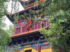 -宝通禅寺