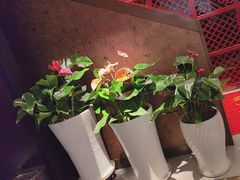 -喜湘宴·精致湖南菜(和平西桥店)