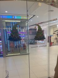 -玛莲朵·海菲秀冰珀科
