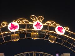 -武汉知音号