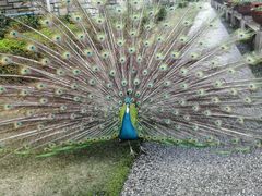 android_upload_pic-杭州千岛湖开元度假村