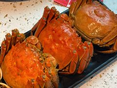 -沪小胖小龙虾(淮海中路旗舰店)