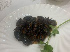 -寻味顺德·南记酒家·传统顺德菜·鱼生(广源路店)