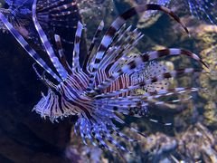 -海合安天津极地海洋公园