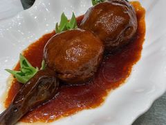 -丁老爷子苏香圆