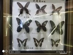 -蝴蝶泉公园