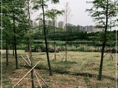 -滨湖塘西河公园