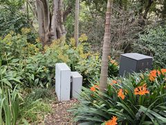 -墨尔本皇家植物园