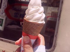 -富豪雪糕车流动点(尖沙咀店)