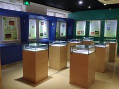 -上海昆虫博物馆