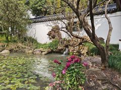 -汇龙潭