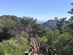 -大岭沟猕猴桃谷风景区